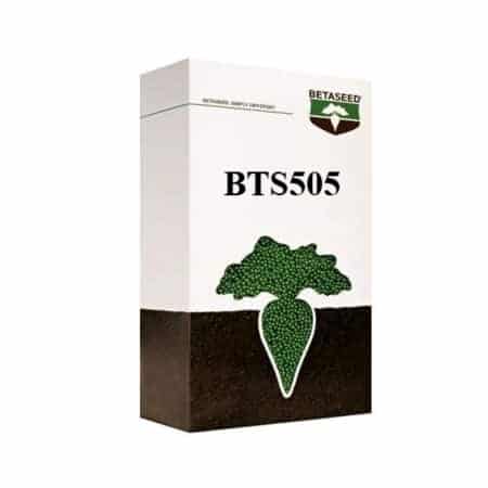 بذر چغندر قند BTS505